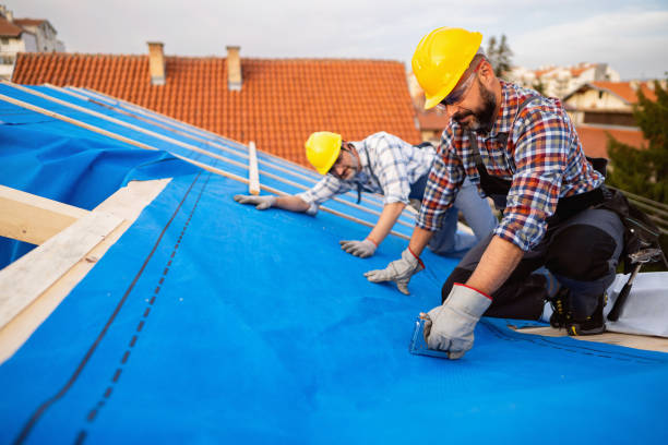 Best Flat Roof Repair Services  in Higginsville, MO